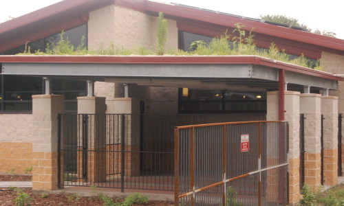 VNC green roof